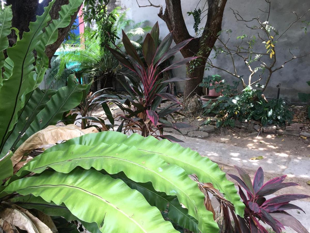 Mazz Homestay Negombo Luaran gambar